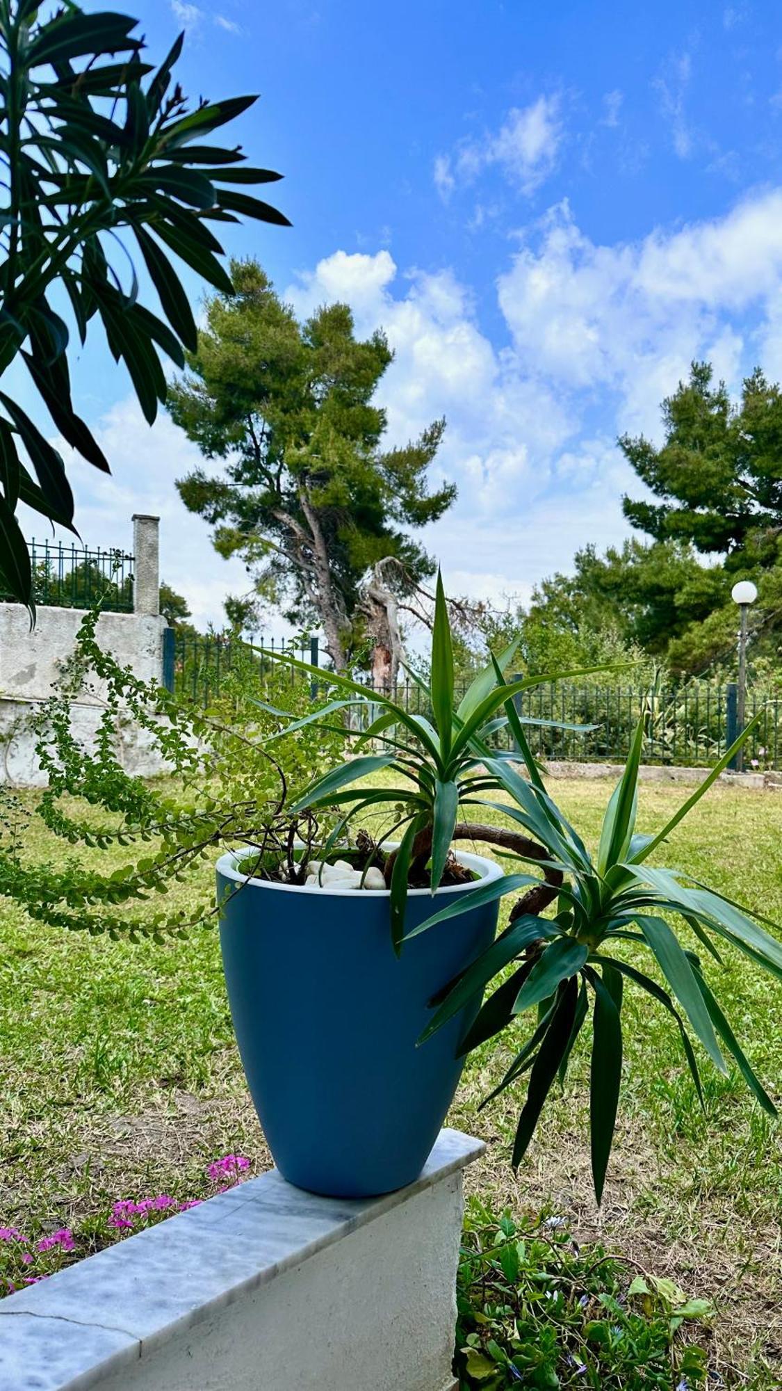 Appartamento Rita Sea View Kallithea  Esterno foto